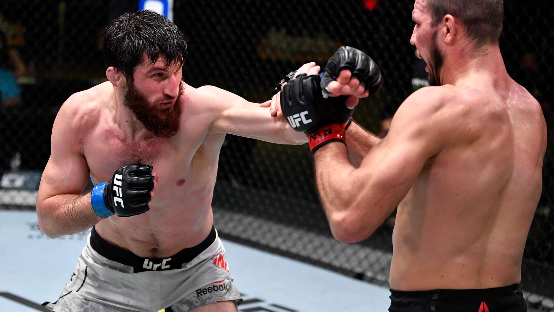 理调适和策 理调适和策